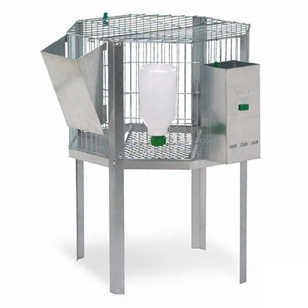 Tolva Automática Para Perros Pequeños - 20x22x47cm (galvanizada)