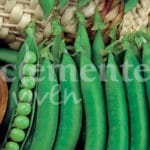 GUISANTE PETIT PROVENZAL 250 GR