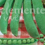 GUISANTE TELEFONO 250 GR