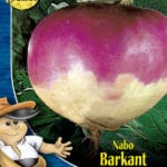 NABO NORFOLK 250 GR.