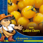 TOMATE GOLDEN CHERRY CLASICO