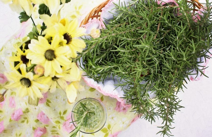 20210528_deliciosas-fragancias-hogar-cultivando-plantas-aromaticas_02