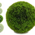 BOLA SETO VERDE 28 CM