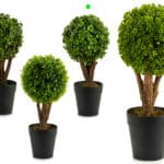 MACETA PLANTA SETO HOJA TREBOL