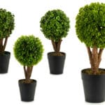 MACETA PLANTA SETO HOJA VENTOSA