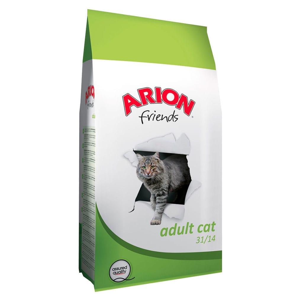 adult cat