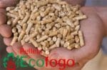PELLETS ECOFOGO 15 KG - Imagen 2