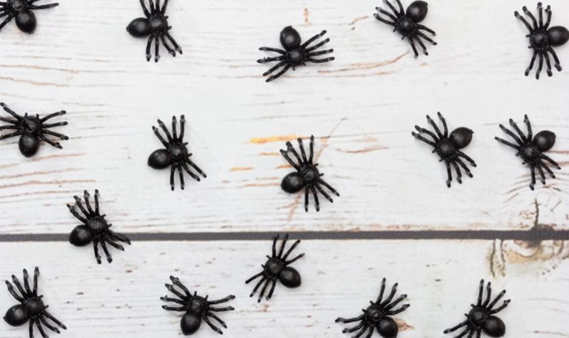 Combatir plagas de insectos