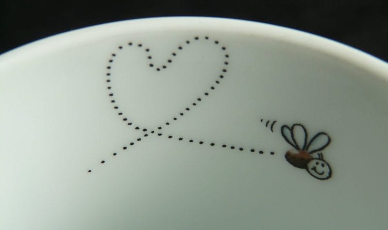 Combatir plagas de insectos