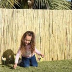 CAÑIZO MED. CAÑA N. 1x5 M. - Imagen 3