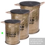 BEYOND BIDON DORADO 27X41,5 CM