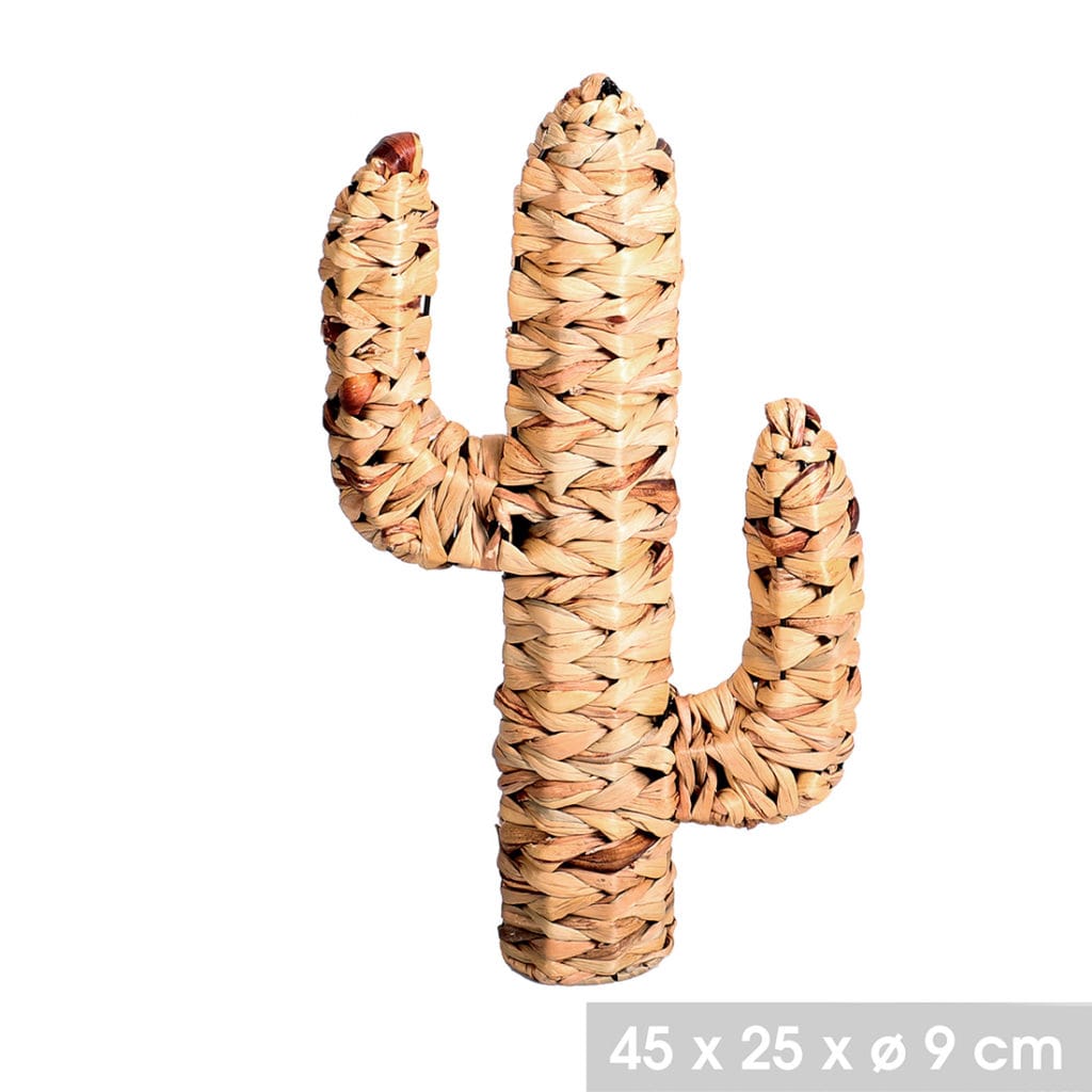 CACTUS EN JACINTOS 45X25X9 CM