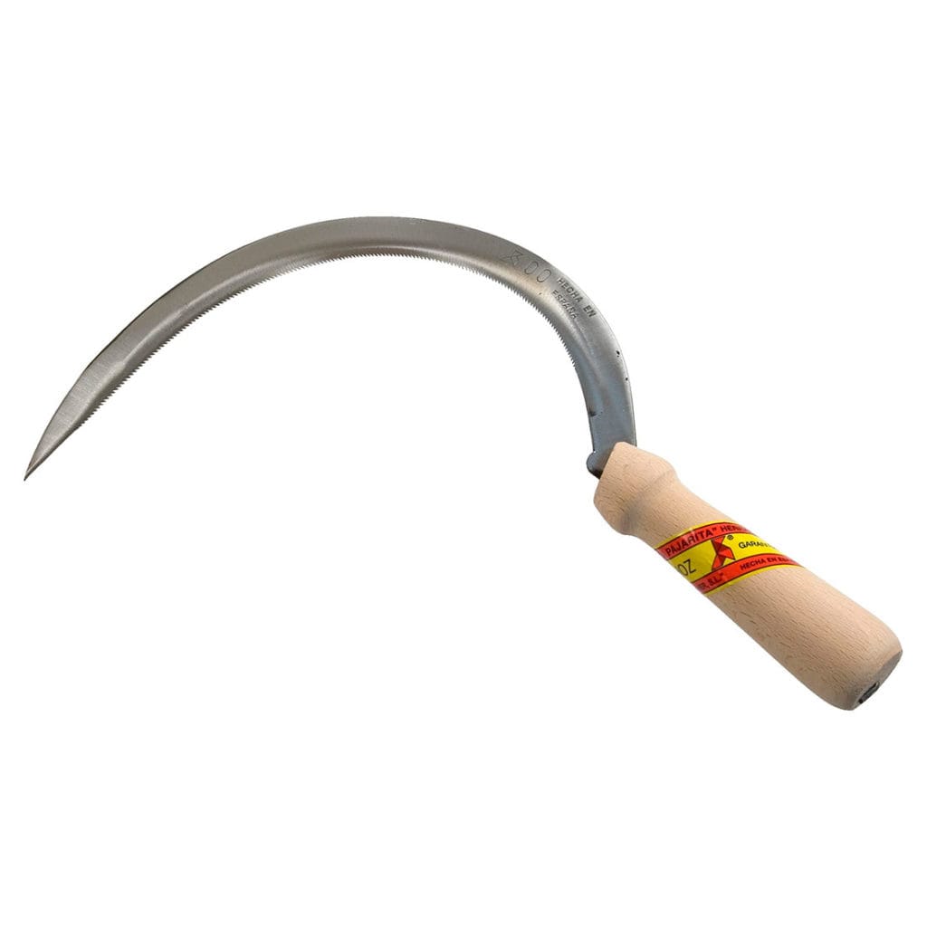 HOZ GALICIA 0 PAJARITA