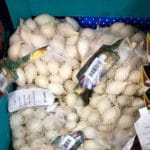 CEBOLLA BLANCA 21/24 500 GRS. - Imagen 2