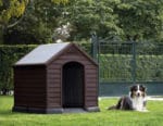 DOG HOUSE MARRON 99 x 99 x 95 cm