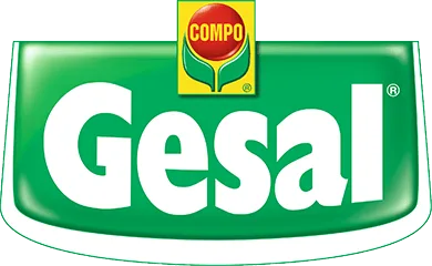 GESAL