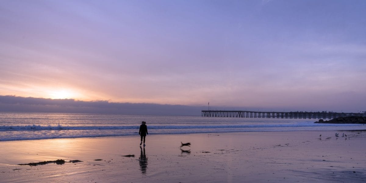 20210724_consejos-refrescar-perro-verano_03