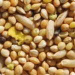 MIXTURA PERICOS 5 KG - Imagen 2