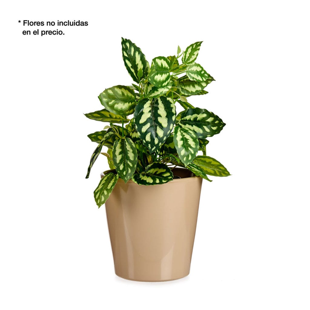 MACETA CONICA 17 CM BEIGE