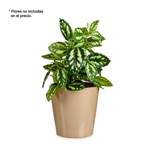 MACETA CONICA 17 CM BEIGE