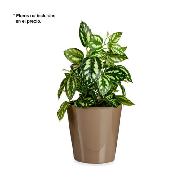 MACETA CONICA 17 CM CHOCOLATE