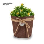 MACETA SACO CUELGA GR. CHOCOLATE