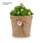 MACETA SACO CUELGA GR. NATURAL