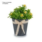 MACETA SACO PEQ. LAZO GRIS
