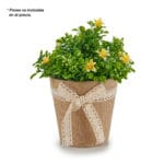 MACETA SACO PEQ. LAZO NATURAL