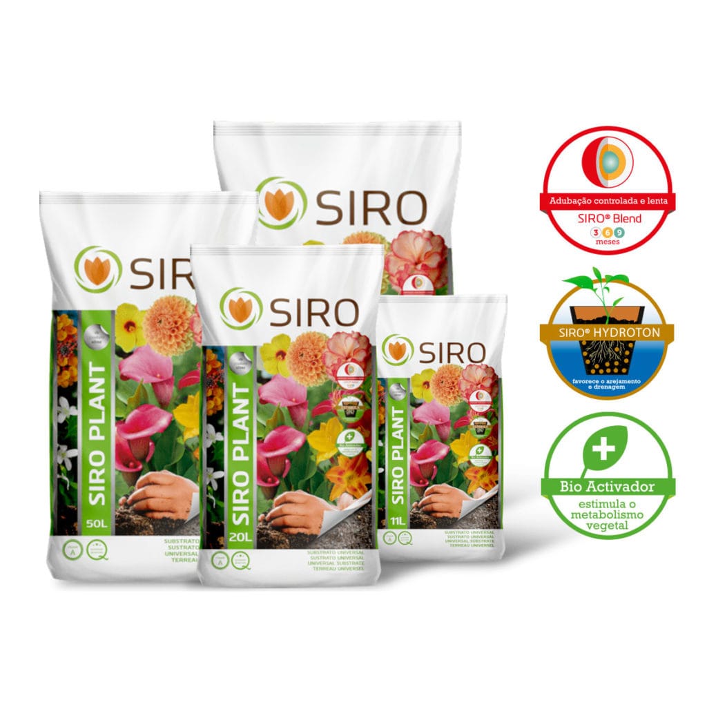 SIRO PLANT