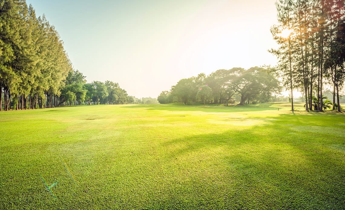 Preparar el césped para el invierno
