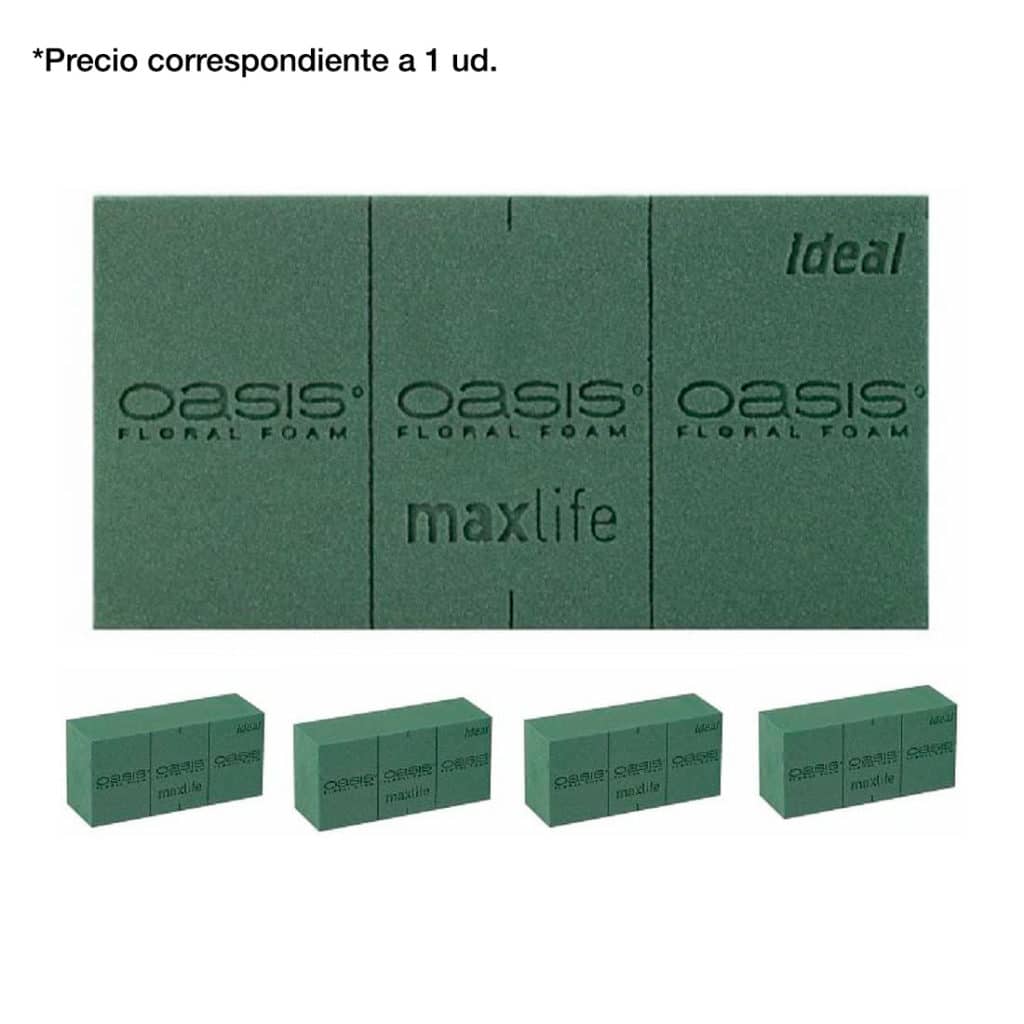ESPONJA FLOR CORTADA OASIS