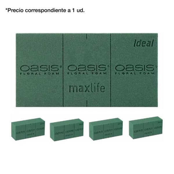 ESPONJA FLOR CORTADA OASIS