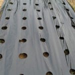 PLASTICO FRESAS 1X1 M