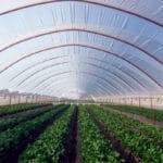 PLASTICO INVER. 1 M x 3 M. ANCHO