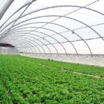 PLASTICO INVER. 1 M x 3 M. ANCHO