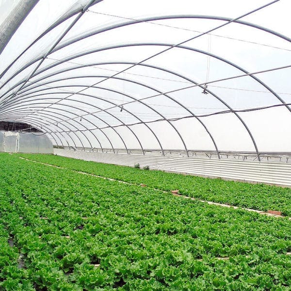 PLASTICO INVER. 1 M x 3 M. ANCHO