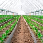 PLASTICO INVER. 1 M x 3 M. ANCHO