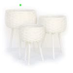 CESTA BLANCA C/ PATAS GRANDE