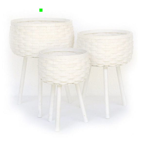 CESTA BLANCA C/ PATAS GRANDE