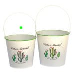 CUBO CACTUS MEDIANO ASA METALICA