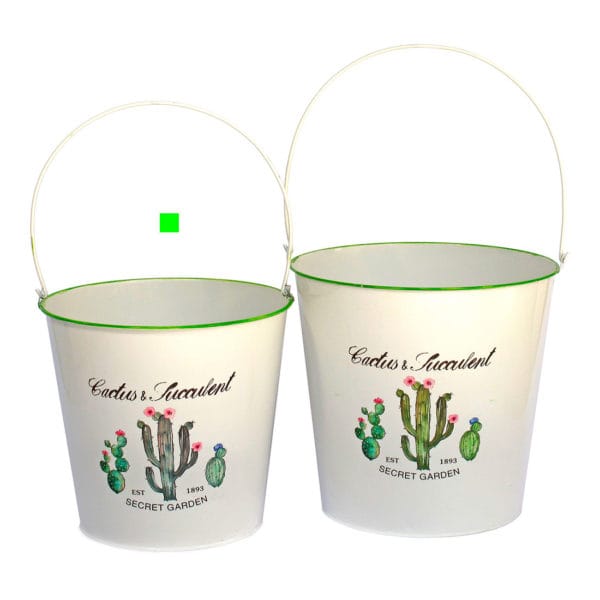 CUBO CACTUS MEDIANO ASA METALICA