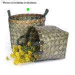 CUEVANO CASTAÑO VERDE GRANDE