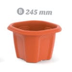 VASO OCT. M. 245 MM.