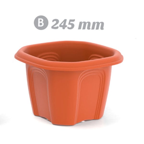 VASO OCT. M. 245 MM.