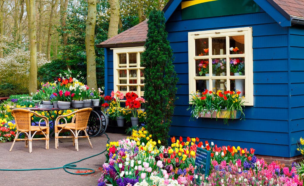 Consejos para plantar bulbos de otoño