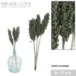 MAIZ TEINTE VERDE OLIVA 3 PIEZAS