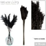 PAMPA TEINTE NEGRO 10 PIEZAS