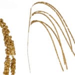 RAMILLETE BRILLANTE DORADO 1 M.