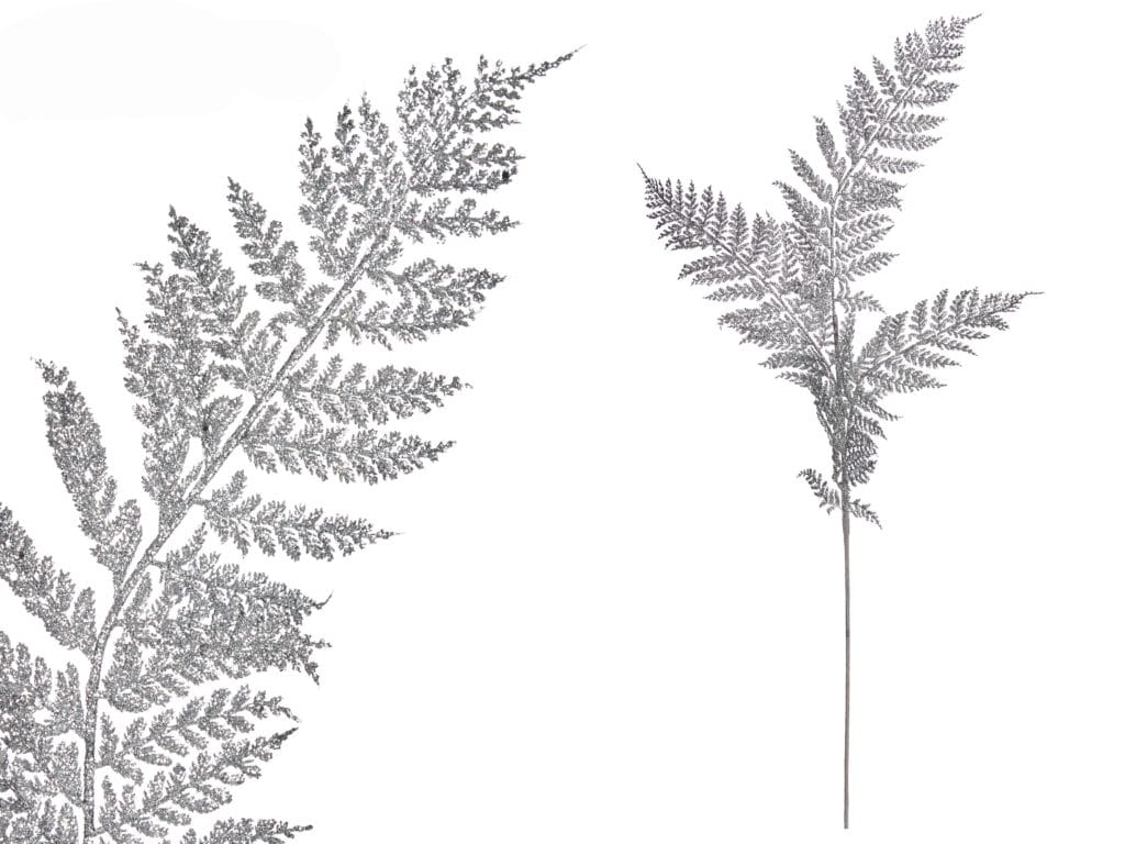 97965 ARborrado